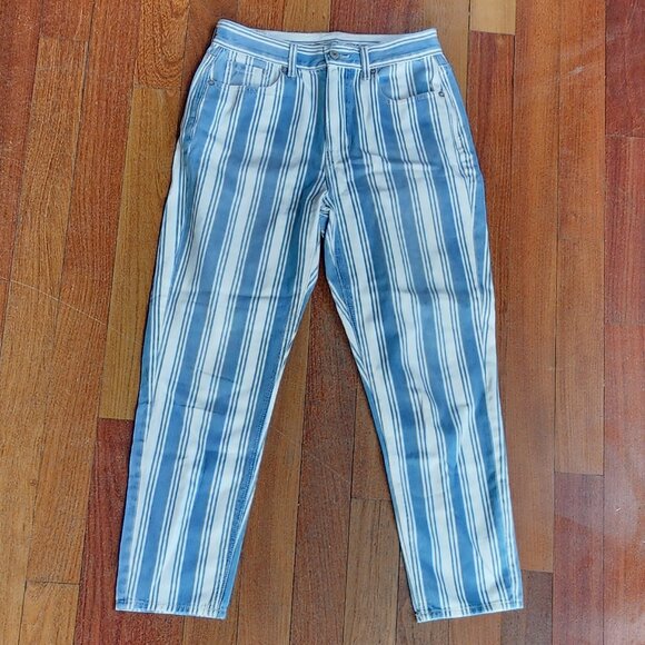 American Eagle Outfitters Blue/White Vertical Striped Mom Jeans Size 4 Short - Picture 3 of 16